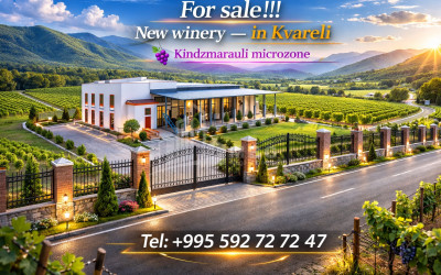 იყიდება შატო / ღვინის ქარხანა / მარანი კომერციული ფართი ყვარელში