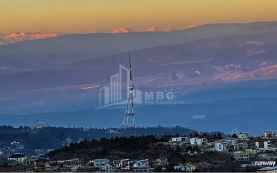 იყიდება სახლი აგარაკი ტაბახმელა მთაწმინდის რაიონი თბილისი