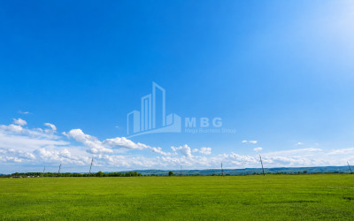 For Sale Vineyard - Chateau Land In Manavi, Sagarejo