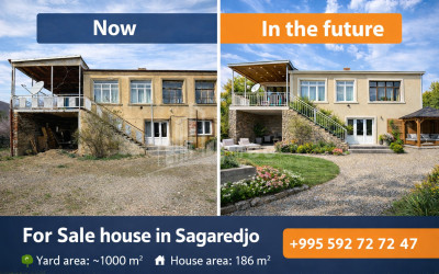 For Sale Old building House - Villa In Sagarejo