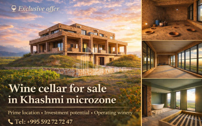 For Sale Chateau / Wine factory Commercial In Khashmi, Sagarejo