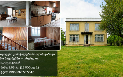 For Sale New building House - Villa In Zemo Natanebi, Ozurgeti