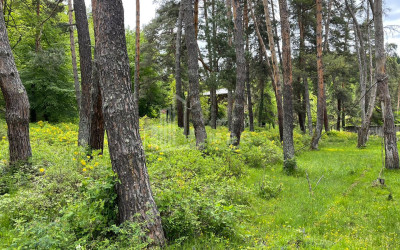 იყიდება სააგარაკე მიწის ნაკვეთი, ონი