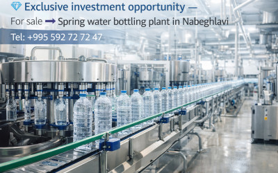 Продается-Коммерческий-Набеглави-Чохатаури-Муниципалитеты-Гурии