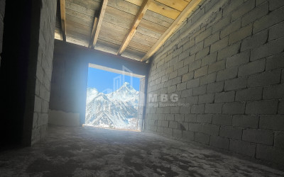 For Sale House Villa Stepantsminda Kazbegi Mtskheta   Mtianeti