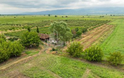 Продается Земля Кахети