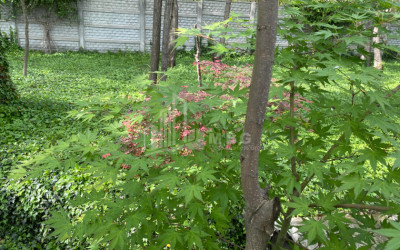 იყიდება ბიზნესი კომერციული ფართი თელავი კახეთი