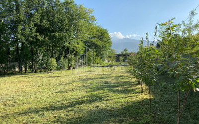 იყიდება ბიზნესი კომერციული ფართი თელავი კახეთი