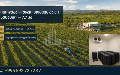 For Sale Orchards Land In Senaki