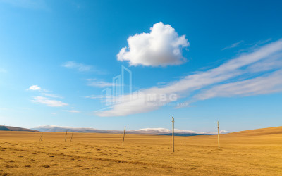 იყიდება მიწის ნაკვეთი წალკა ქვემო ქართლი