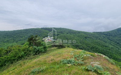 Продается Дом - Вилла В Коджори, Мтацминда Район