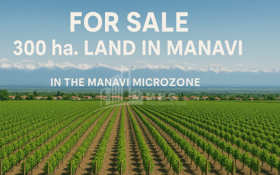 იყიდება მიწის ნაკვეთი კეხიჯვარი ქარელი შიდა ქართლი