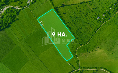 For Sale Land Bolnisi Kvemo Kartli