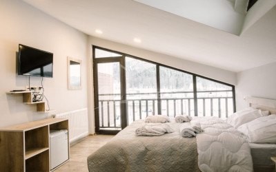 For Rent Hostel - Guesthouse Commercial, in Bakuriani