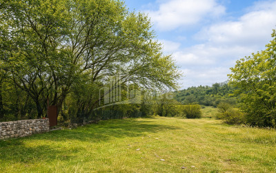Продается Старое здание Дом - Вилла В Шалаури, Телави