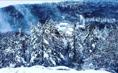 Продается Дом - Вилла В Коджори, Мтацминда Район