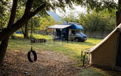 Business for sale Commercial Telavi Kakheti