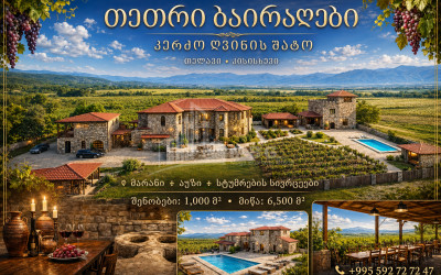 Продается Замок / Винный завод Коммерческий В Кахети