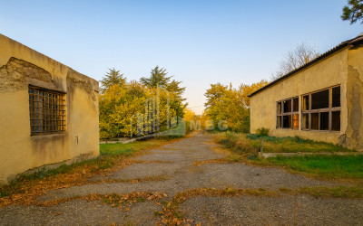 Продается Коммерческий Ахмета Кахети