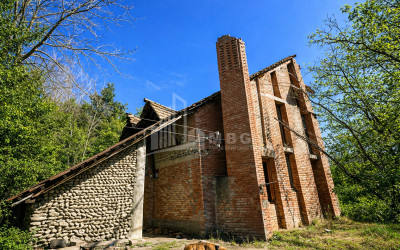 For Sale Old building House - Villa In Sagarejo