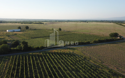 For Sale Land Kvareli Kakheti