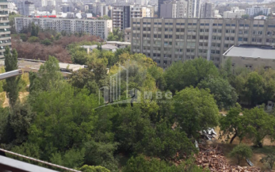 For Rent Flat, in Vazha-Pshavela Blocks