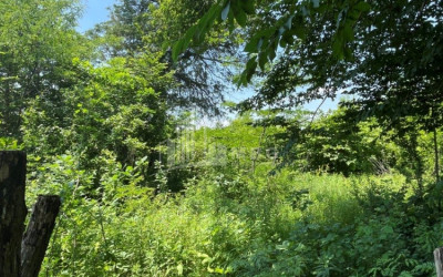 Продается Дачные Земля, в Сенакски