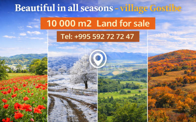 იყიდება ბინა, ფერსათი