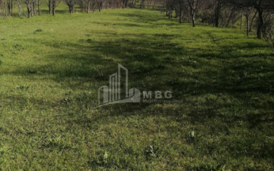 For Sale Country Land, in Abastumani