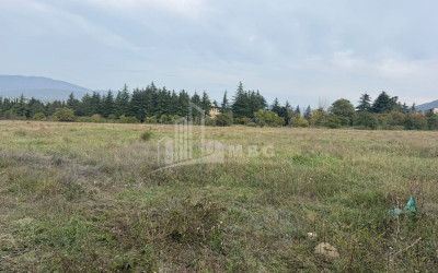 В аренду Производственная площадь - Деловой двор Земля В Церовани, Мцхета