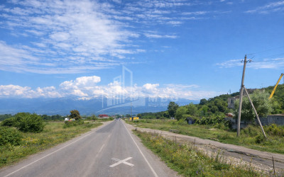 For Sale Land Telavi Kakheti