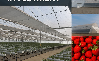 For Sale Land Marneuli Kvemo Kartli