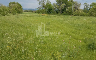 For Sale Country Land, in Bazaleti