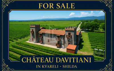 For Sale Commercial Kvareli City Kvareli Kakheti