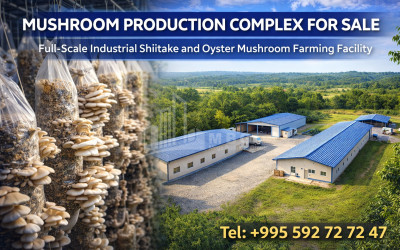 Продается Дом Вилла Натахтари Мцхета Мцхета   Мтианети