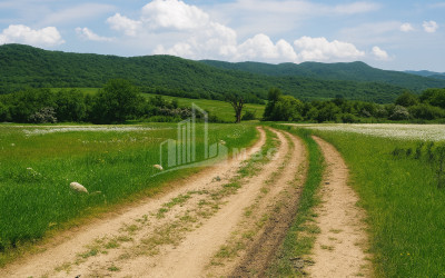 Продается Земля Гомбори Сагареджо Кахети