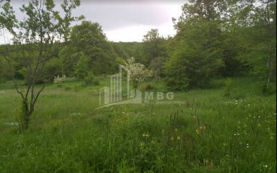 For Sale Residential Land, in Kveseti