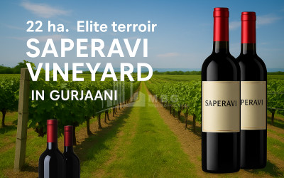 For Sale Commercial Becho Mestia Samegrelo   Upper Svaneti