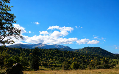 For Sale Country Land In Andesite, Borjomi
