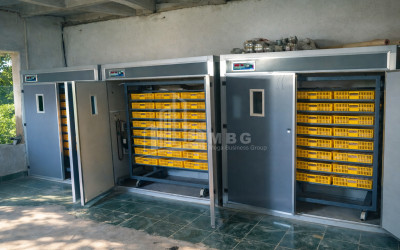 Продается Озеро - Рыболовное хозяйство Земля В Деревния Гачиани, Гардабани