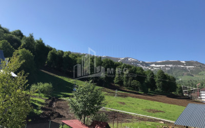 For Sale Hostel - Guesthouse Commercial In Bakuriani, Borjomi