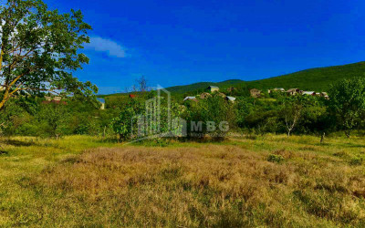 For Sale Land, Telatgori, Kaspi Municipality, Municipalities of Shida Kartli
