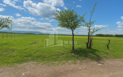 For Sale Land Vartsikhe Baghdati Imereti