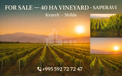 Продается-Земля-Шильда-Кварели-Кахети