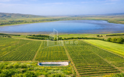 For Sale Land Kumisi Gardabani Kvemo Kartli