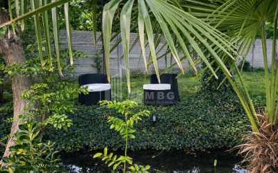 Business for sale Commercial Telavi Kakheti