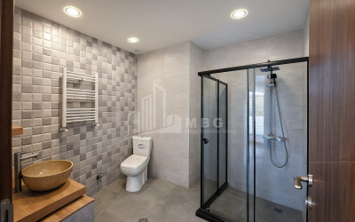 For Sale House Villa Village Dighomi Saburtalo District Tbilisi