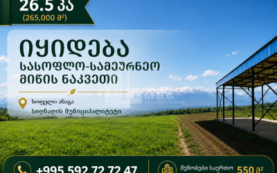 იყიდება ხეხილის ბაღი მიწის ნაკვეთი ძველი ანაგაში, სიღნაღი