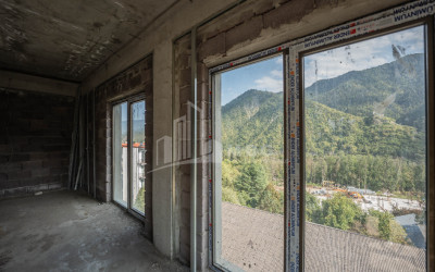 For Sale Commercial Likani Borjomi Samtskhe   Javakheti