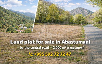 Продается Земля Вани Имерети